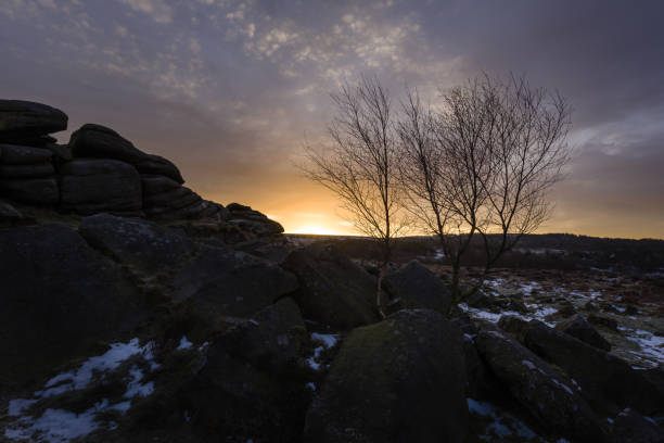 Owler Tor morning I. Sunrise glow behind crags and trees