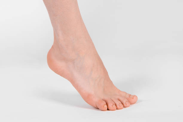 barefoot and legs isolated on white background. closeup shot of healthy beautiful female feet. health and beauty concept. side view of human foot ream with neutral manicure or pedicure. sole of foot - on his toes imagens e fotografias de stock
