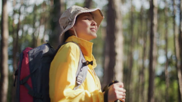 Young woman contemplating while hiking in a forest
