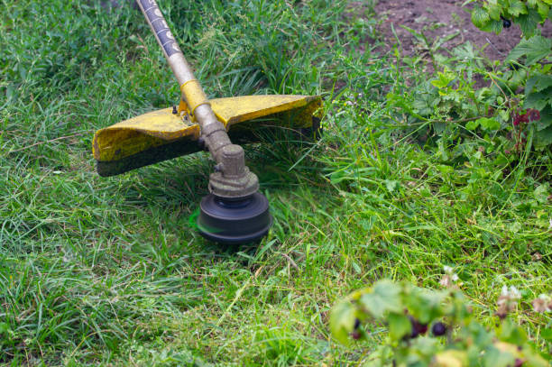 istock mowing green grass with a gasoline trimmer 1409075498