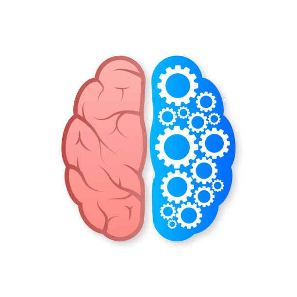 illustrations, cliparts, dessins animés et icônes de cerveau humain médical. organe interne. réseau neuronal. brainstorming, idée. - brain human head people human internal organ