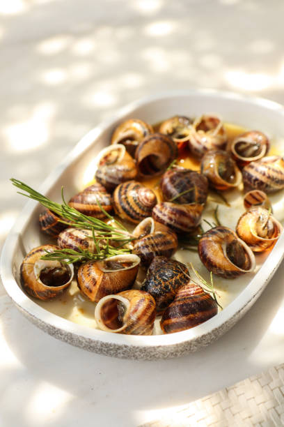 ローズマリーとガーリックオイルの地中海エスカルゴの繊細なカタツムリ - gourmet snail food escargot ストックフォトと画像