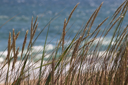 Close up of sea and sand on beach