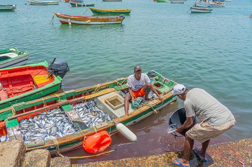PALMEIRA, CAPE VERDE - JUNE 22.2022: Fisherman with a boat full of fishes at Palmeira on Sal Island, Cape Verde