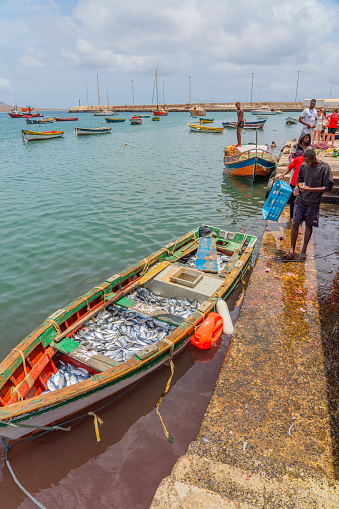 PALMEIRA, CAPE VERDE - JUNE 22.2022: Fisherman with a boat full of fishes at Palmeira on Sal Island, Cape Verde