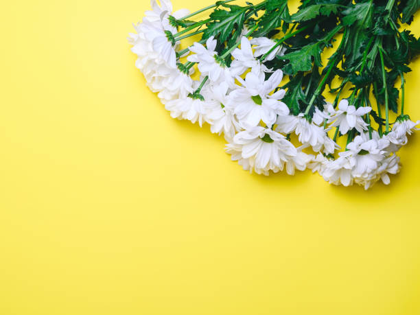 istock beautiful bouquet of daisies on a yellow background, copy space 1409093295