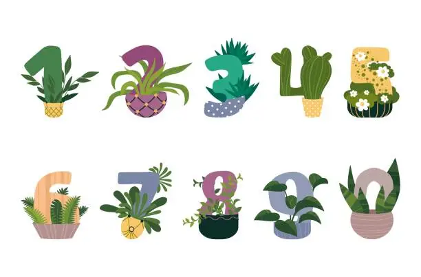 Vector illustration of Flowers numbers set vector flat illustration. Botanical tropical counting houseplants in pots