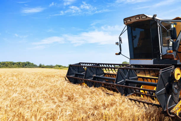 istock combine harvester cutting ripe wheat on field 1409097377