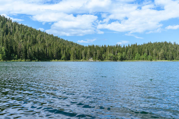 istock Black Lake in Montenegro 1409098579