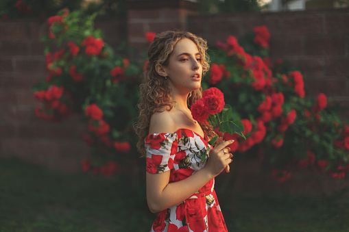 Curly redhead model on summer nature background. Spring rose flower garden. Fabulous woman in dress. Awesome flowers wall. Blonde lady. Portrait. Trendy look. Modern art. Sunset light. Roses bush