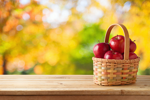 Autumn harvest concept. Red apples in basket on wooden table over outdoor bokeh background