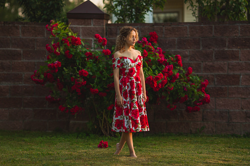 Curly redhead model on summer nature background. Spring rose flower garden. Fabulous woman in dress. Awesome flowers wall. Blonde lady. Portrait. Trendy look. Modern art. Sunset light. Roses bush