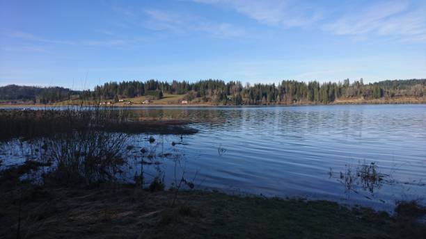 istock Shadow on the lake, Lac St-Point, Doubs, France 1409101949