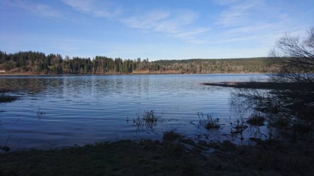 istock Lake in Fall, Lac St-Point, Doubs, France 1409101969