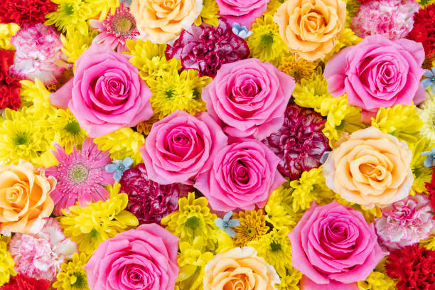 istock Many flowers floating on the water 1409103936