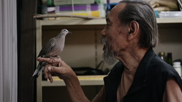 Senior man feeding bird at home. Animal tamer