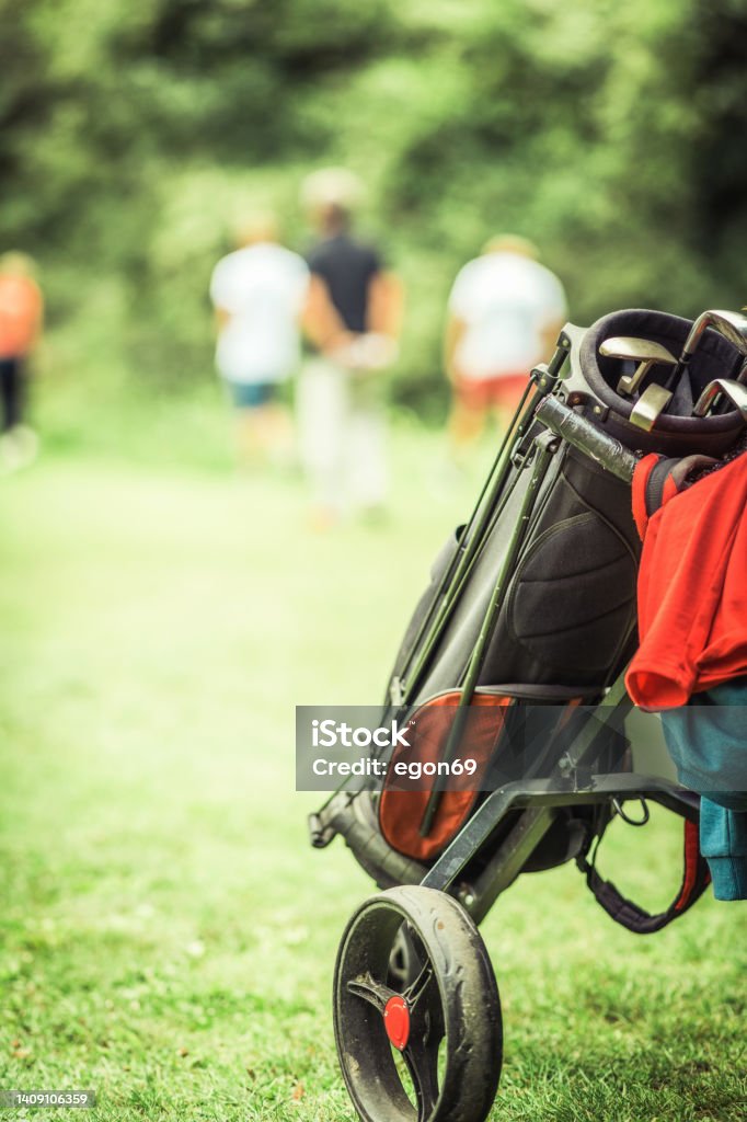 Golfing partners playing golf Golfing partners playing golf on natural golf course Active Lifestyle Stock Photo