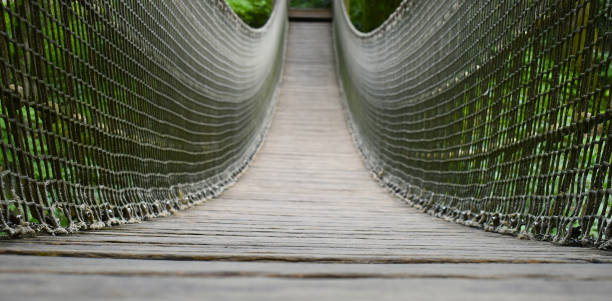 istock Hanging bridge into the nature 1409109180