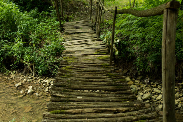 Footbridge over stream in the forest on summer day. The bridge is old and overgrown with moss. Natural background concept. Close up, selective focus