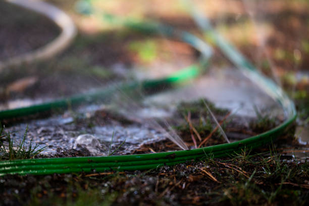Pipes watering plants in hot summer. Irrigation system. Lawn sprinkler. Grass irrigation system. Selective focus.
