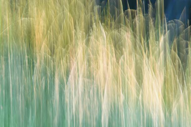 istock Abstract green modern backgroung. Blurred lines, abstract nature. 1409121977