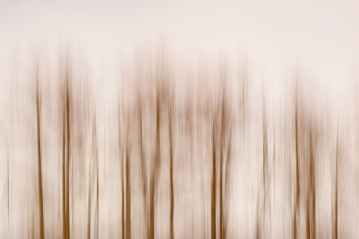 Abstract modern surreal backgroung. Blurred trees.