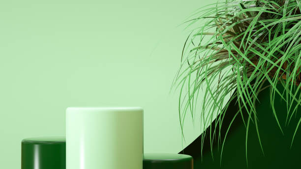 istock Podium in light green flowers with plants - 3D rendering 1409123081