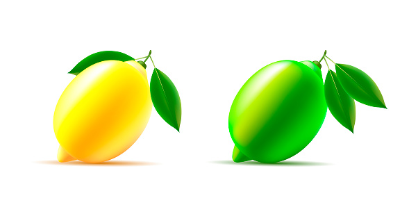Lime and lemon vector 3d illustration with leaves, whole sour fruit, isolated modern