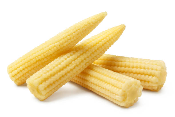 istock Delicious baby corn on white 1409125463