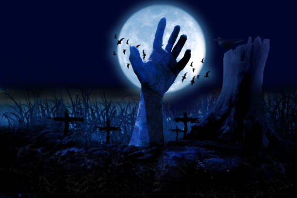 istock Zombie hands rising in dark Halloween night. 1409128195