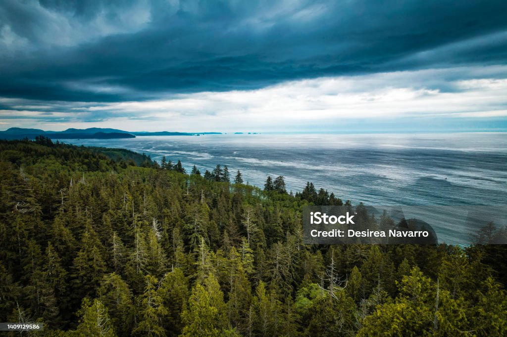 Arial View of the Sea Arial view of the Sea Washington State Stock Photo