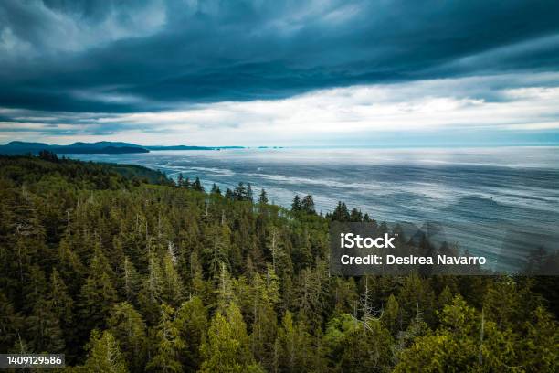 Arial View Of The Sea Stock Photo - Download Image Now - Washington State, Beach, Coastline