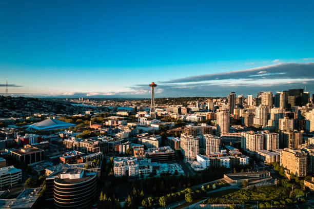 istock Arial view of city skyline 1409129746