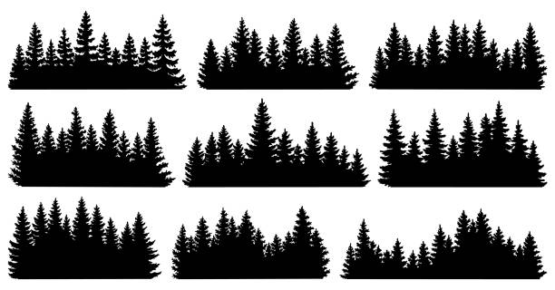전나무 실루엣. 침엽수 림 수평 배경 패턴, 검은 상록 숲 벡터 일러스트레이션. 나무 꼭대기 숲이있는 아름다운 손으로 그린 파노라마 - forest stock illustrations