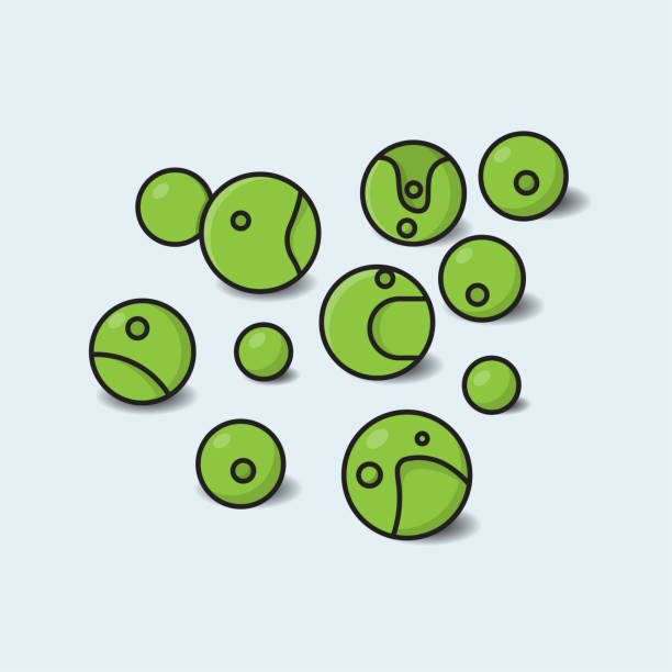 Microalgae Vector Images 90+ Microalgae Stock Illustrations, Royalty-Free Vector Graphics & Clip ...