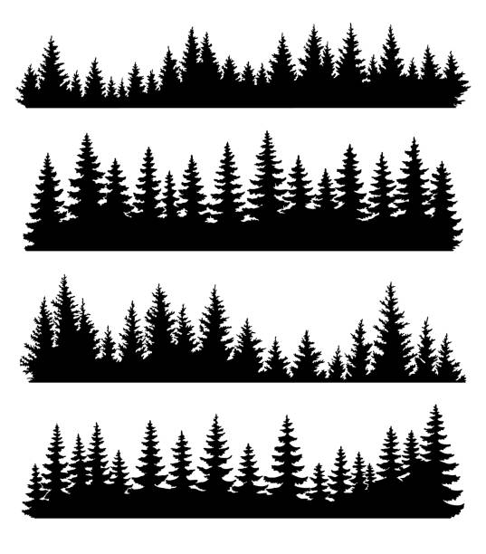 bildbanksillustrationer, clip art samt tecknat material och ikoner med fir trees silhouettes set. coniferous or spruce forest horizontal background patterns, black pine woods vector illustration. beautiful hand drawn coniferous panoramas - tall