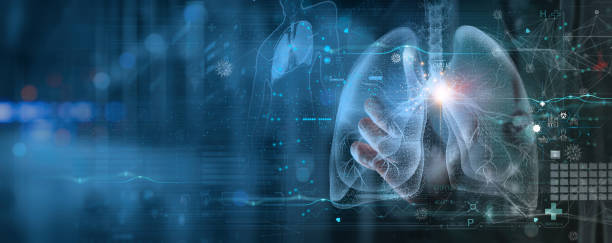 Radiology Doctor working diagnose treatment virtual Human Lungs and long Covid 19 on modern interface screen.Healthcare and medicine,Innovation and Medical technology Concept. Radiology Doctor working diagnose treatment virtual Human Lungs and long Covid 19 on modern interface screen.Healthcare and medicine,Innovation and Medical technology Concept. respiratory system stock pictures, royalty-free photos & images