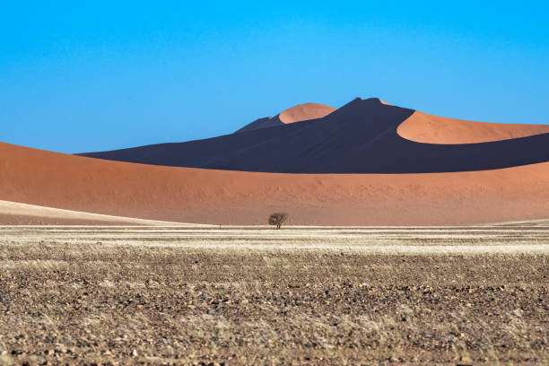 istock Namibia, the Namib desert, graphic landscape 1409143012