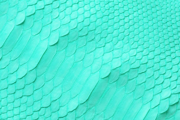 istock light green snake skin texture, turquoise leather background 1409147573