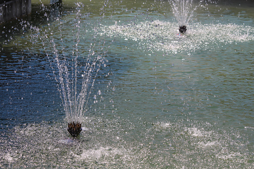 Beautiful fountain beside Montreal Biodome