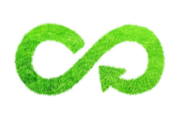 istock Responsible consumption. Circular economy symbol made from green grass 1409149075