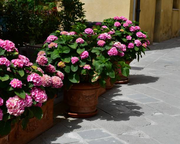 istock Impression of Pienza in Tuscany 1409150338