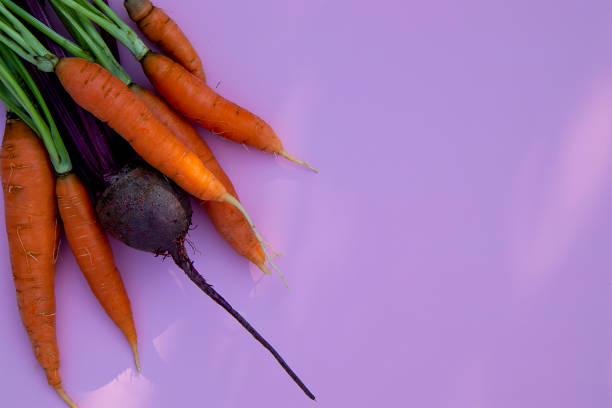 Top view of carrots and beets with stems and leaves on a pink background. The concept of seasonal vegetables and vegetable vegan vitamins.