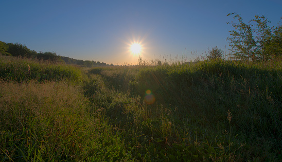 Path in the morning misty field. Summer landscape, sunrise.