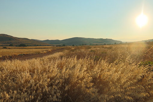 The rural farmland and countryside on the island of Lemnos in Greece.