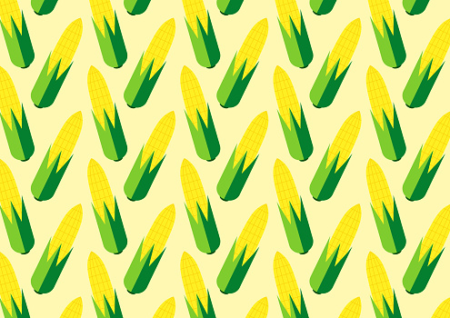Corn Image Pattern Corn Vector Corn Pattern Wallpaper Corn On Yellow Background Stock ...