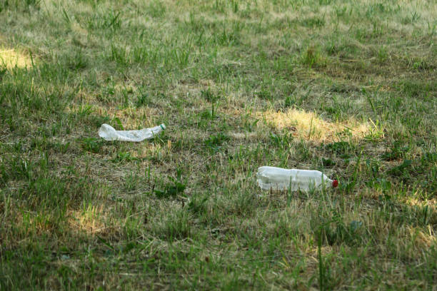 Old plastic bottles on the grass stock photo