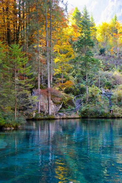 istock Blaise in Bernese Oberland, Switzerland 1409164020