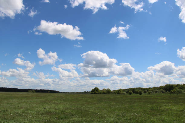 istock Lush meadows and dramatic clouds in the sky 1409167870