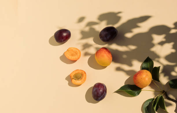 istock Creative food composition made of apricots and plums. Sunlight and tree shadow. Flat lay. 1409170695